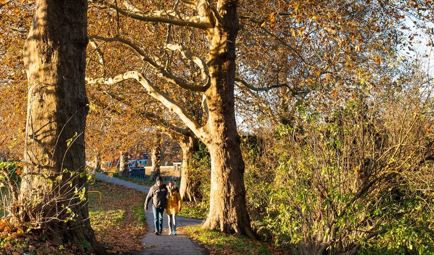 Wandelen over de stadswallen in Gorinchem