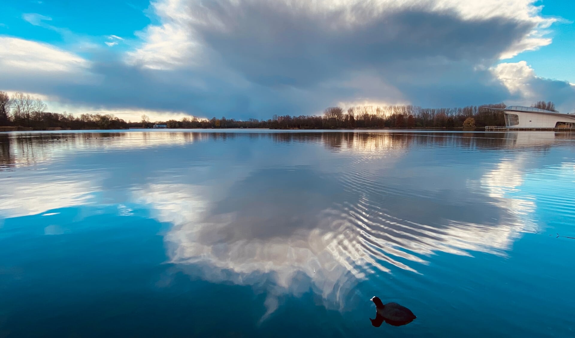 Een fraaie spiegeling in het water van het Haarlemmermeerse Bos is deze maand de winnaar. 