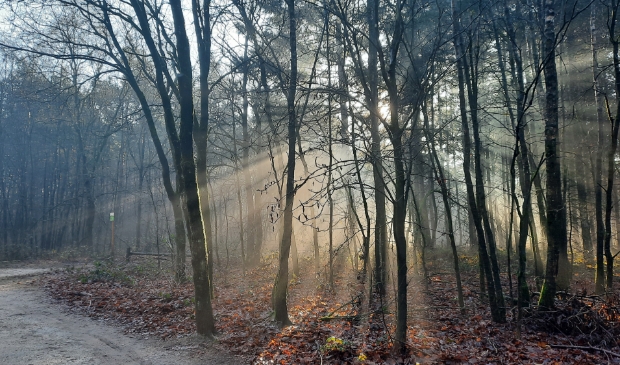 Prachtig zonnestralen
