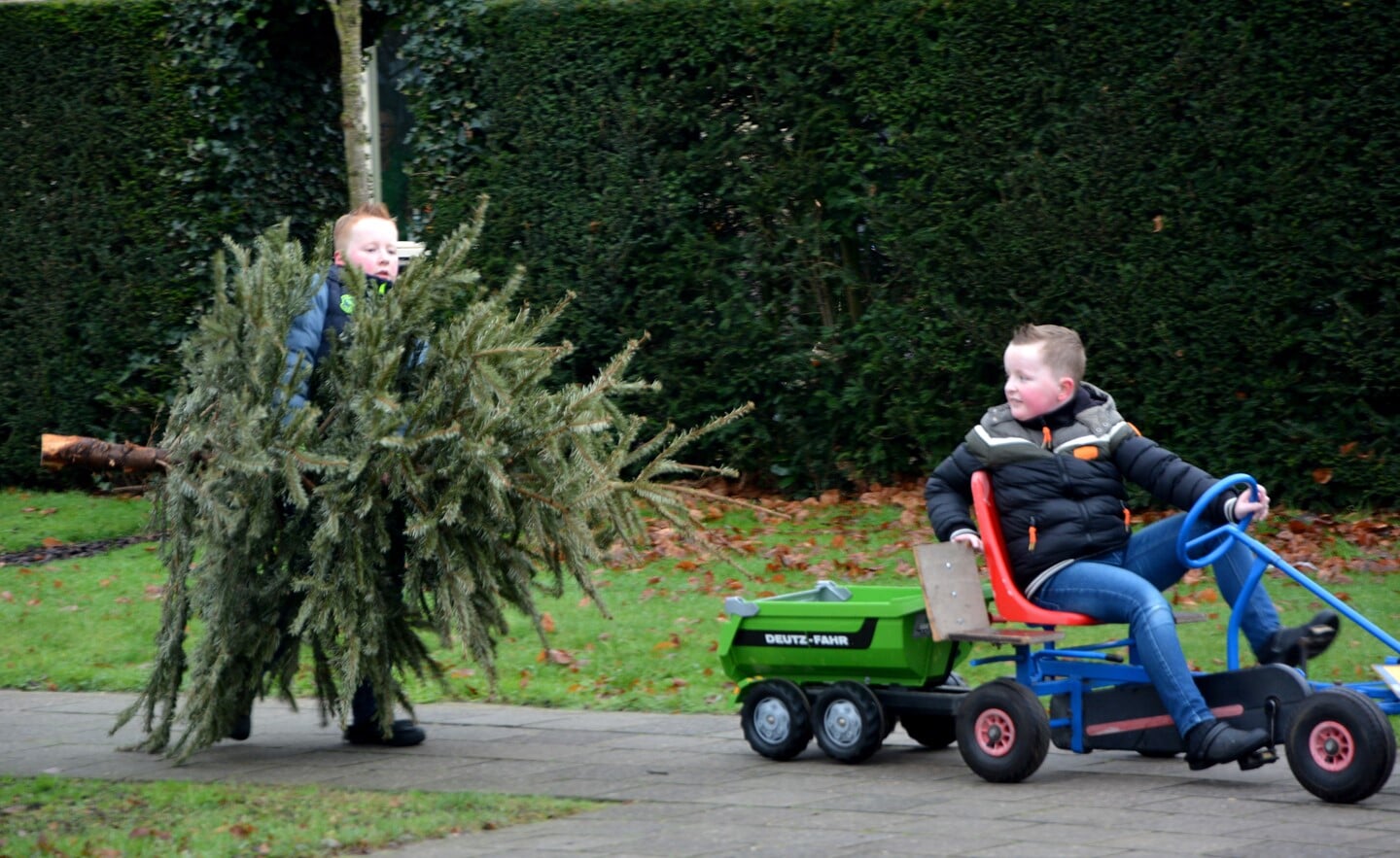 Inzameling kerstbomen in Barneveld.