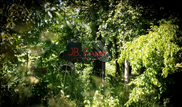 <p>Knus verscholen in het groen ligt de JB Ranch. Het lieflijk ogende terrein was volgens Van den Bout dé splijtzwam in de relatie tussen zijn neven.</p>