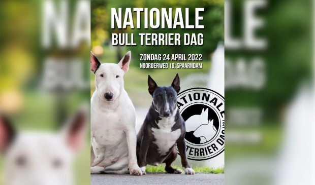 Flyer Nationale Bull Terriër Dag