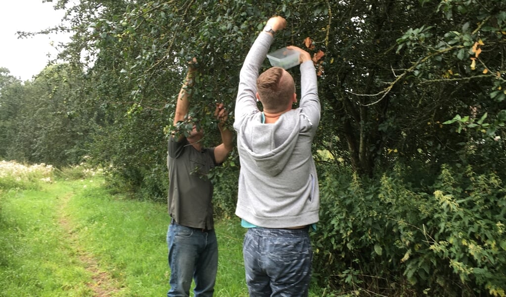 Het project ‘Natuurlijk heel Leuk’ in Wijk bij Duurstede. 