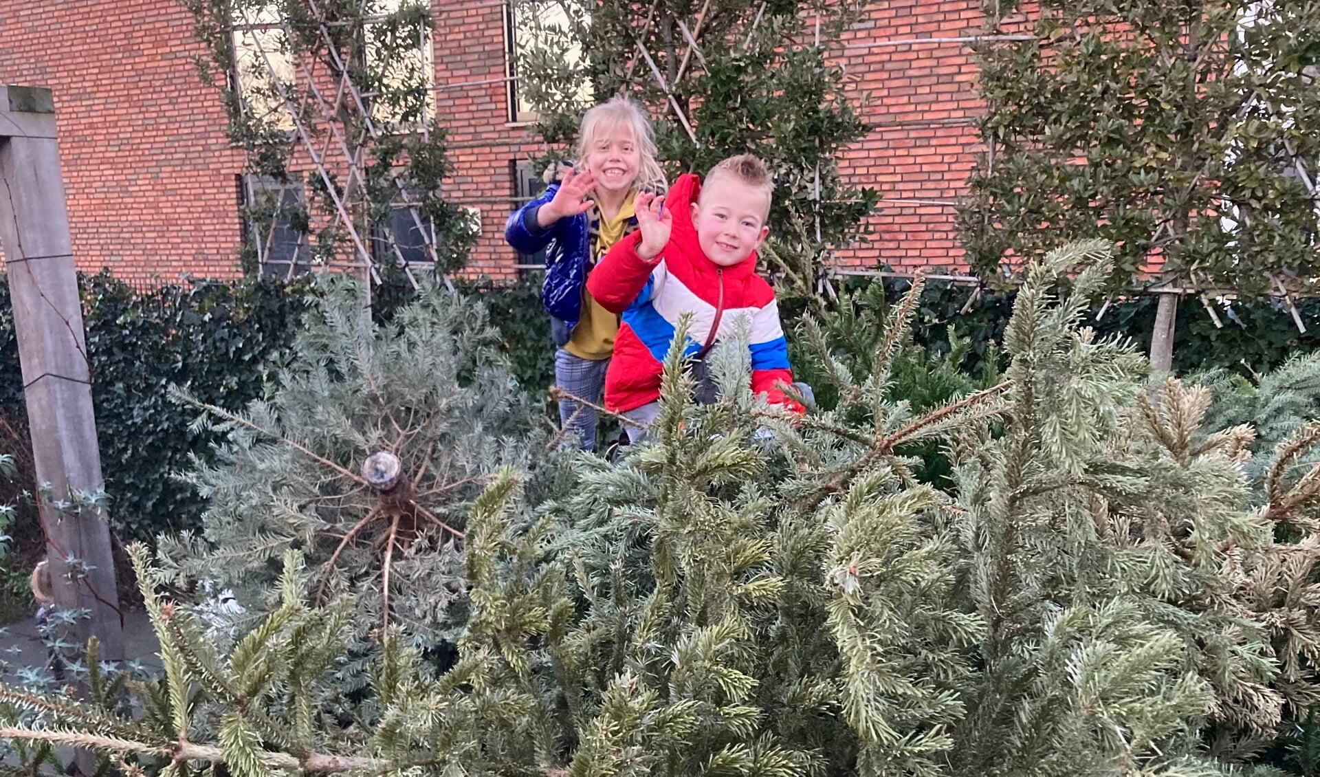 Stella en Jonas bovenop de berg met kerstbomen