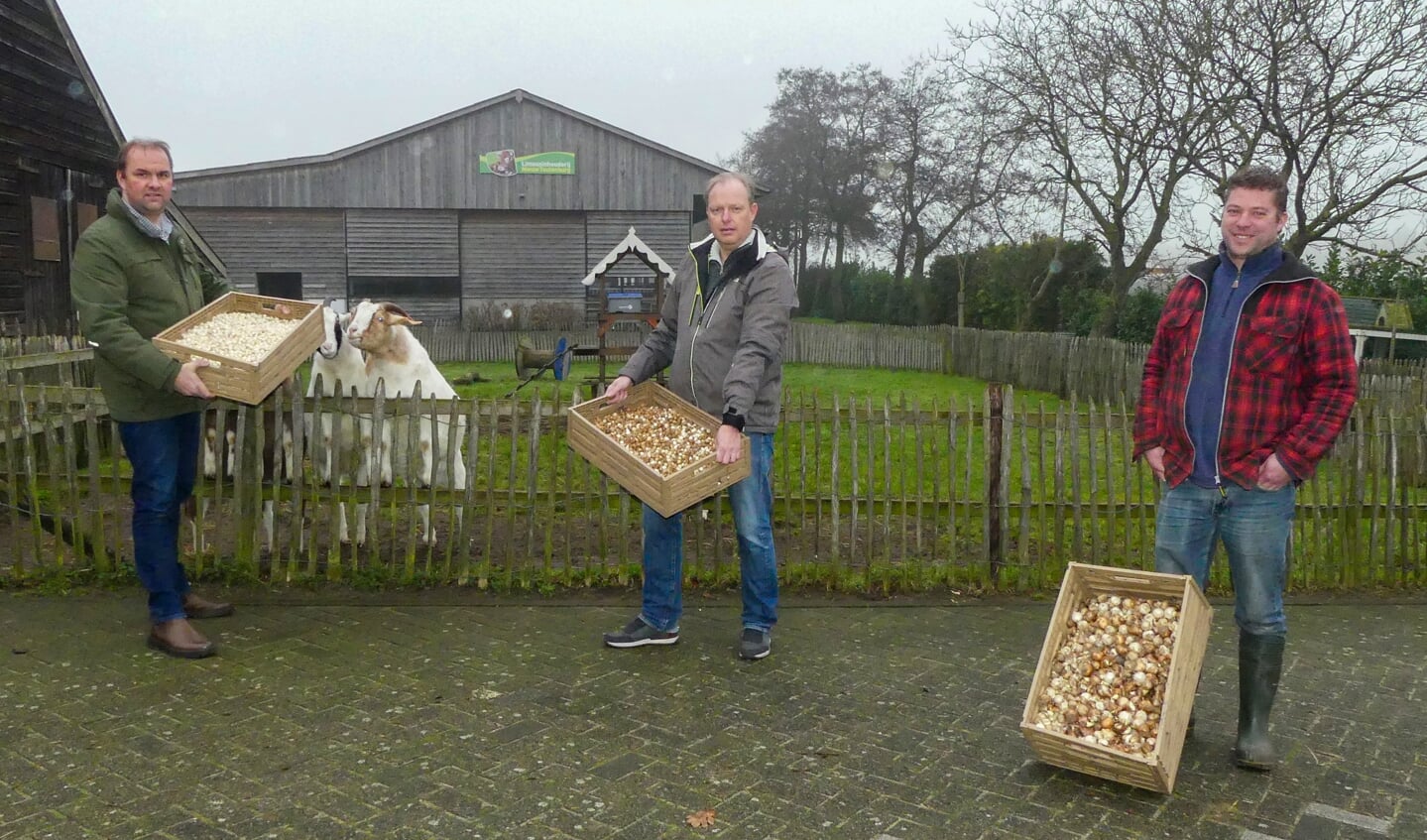 Arie van der Vlies, Edwin Plug en Wouter van Oostrum van de werkgroep Natuurlijk! Maartensdijk met een aantal van de bakken bloembollen.