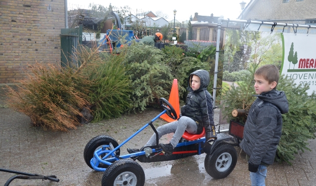 Rond de 300 kerstbomen werden gebracht