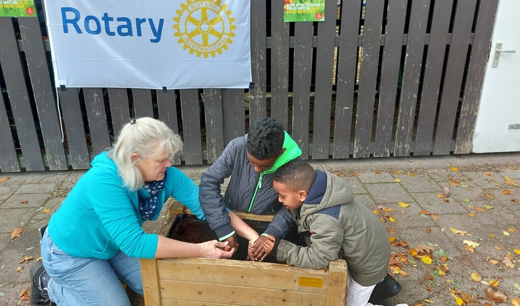 Juf Petra met 2 leerlingen poten de tulpenbollen in bakken bij school Op Dreef