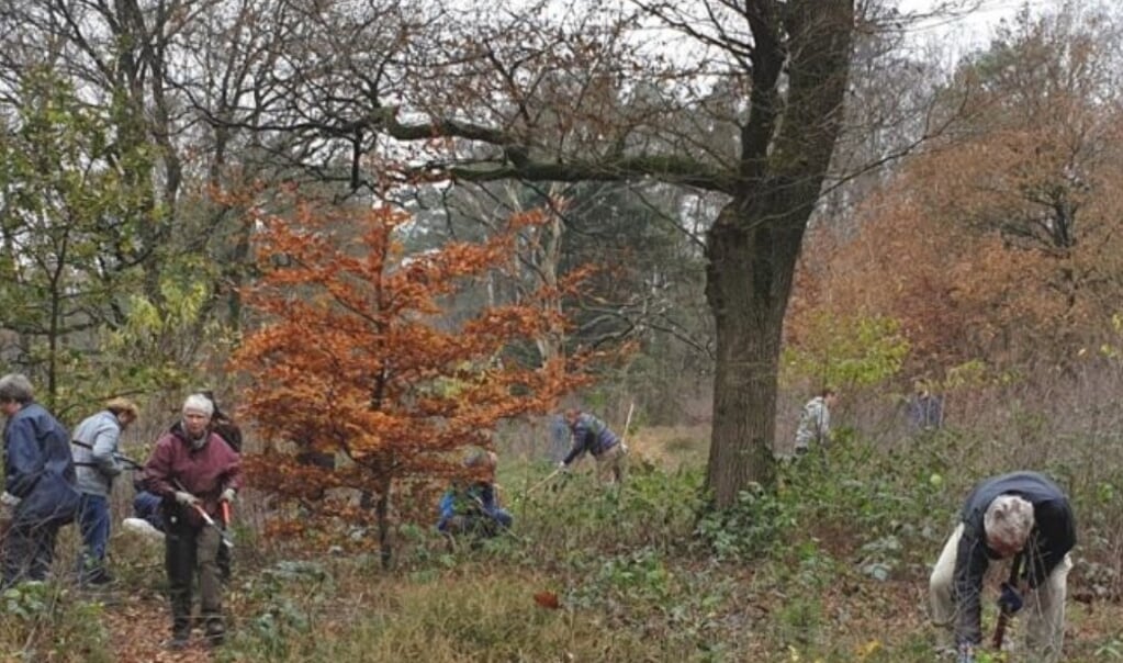 Samen werken in je eigen landschap.