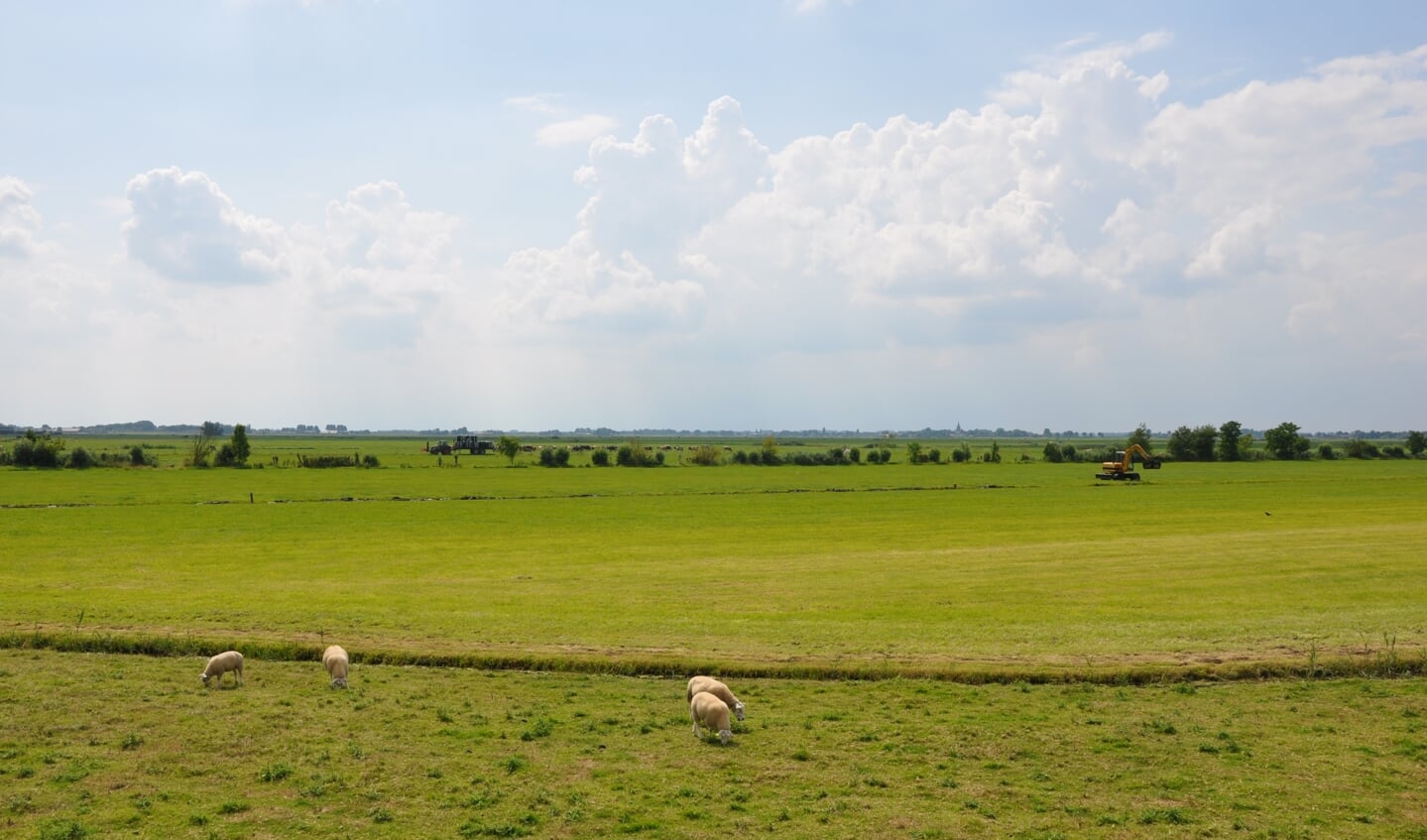 'De aanpak van onze boeren uit de Ronde Hoep is een voorbeeld voor het ministerie en de provincie. Daar mogen we trots op zijn.'