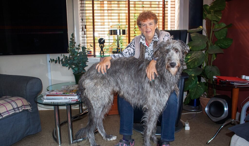 Gerda (65) en Jommeke, de Schotse wolfshond van nog geen drie jaar. ,,Een heel empathisch beest.''