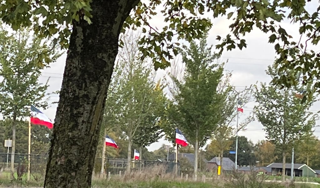 Bewoners Tuinfluiterstraat Ermelo dienen klacht in bij gemeente omdat uitzicht verpest wordt door protestvlaggen.