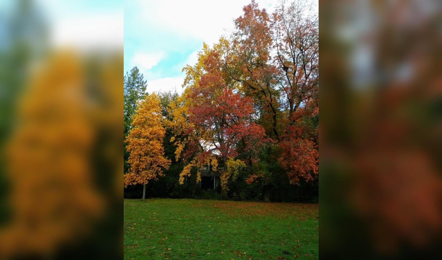 park Schothorst