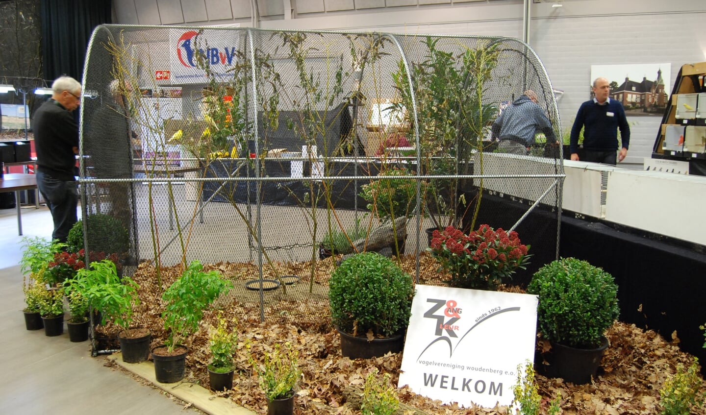 Donderdagavond 24 november wordt om 20.00 uur de tentoonstelling geopend.