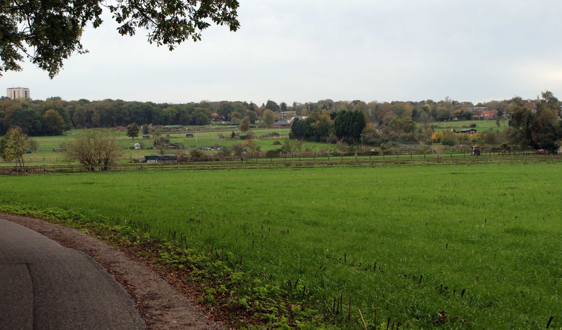 Ook in de herfst is er veel te zien en te genieten op de Eng