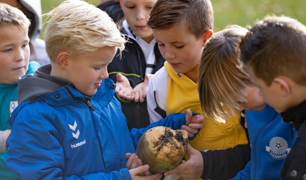 Leerlingen van groep 5 en 6 van basisschool De Dorpsbeuk in Scherpenzeel bezochten dinsdag de Scherpenzeelse biologische Tuinderij ’t Struykgewas.