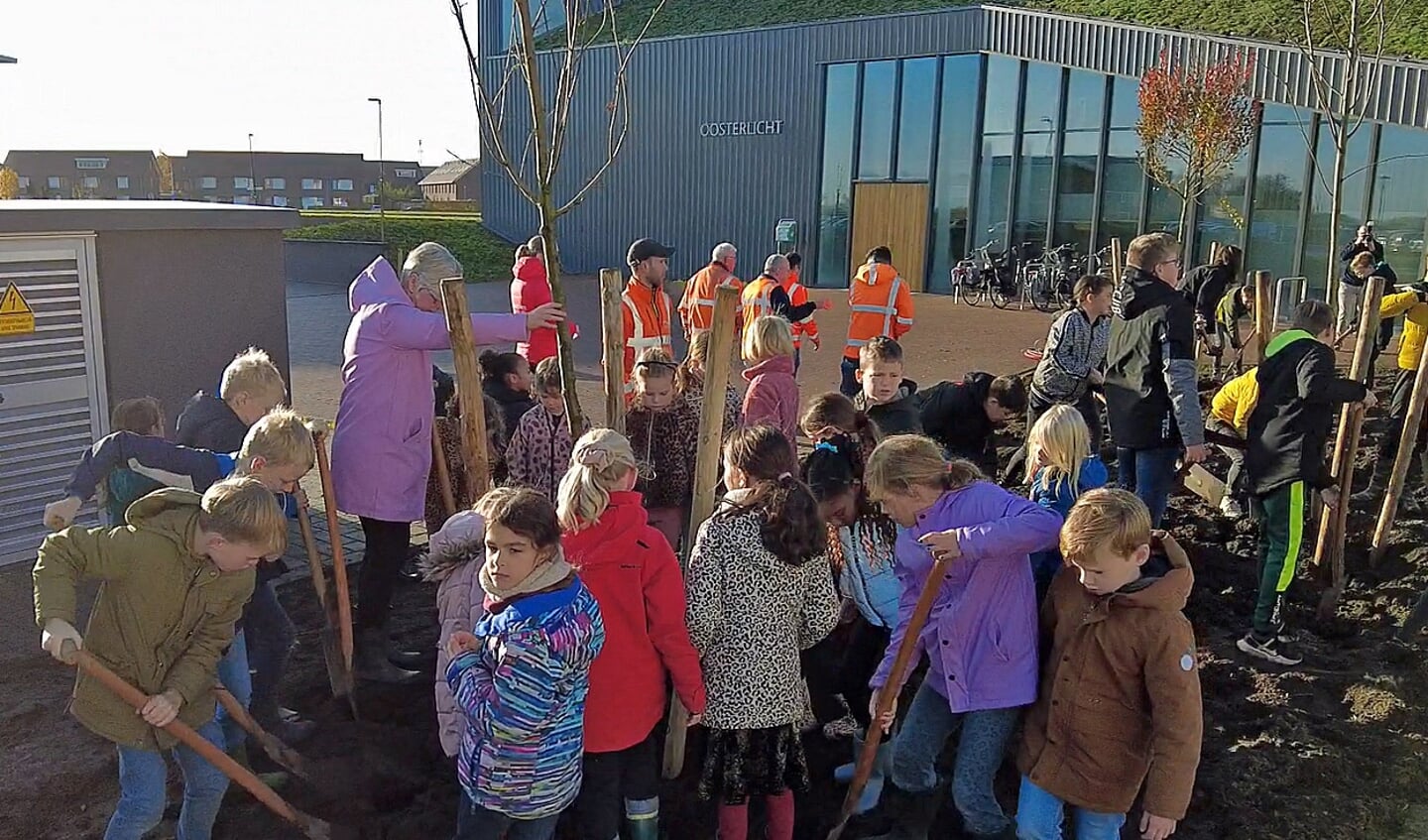 Boomfeestdag bij Montessorischool en CBS het Kleurenlint van Bredeschool Dalemplein.