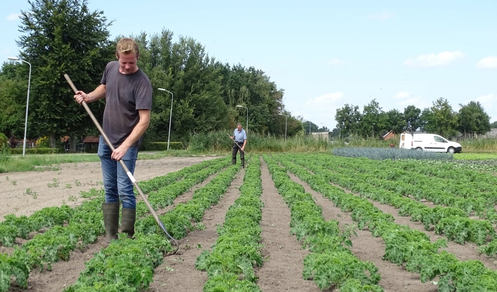  De familie Docter op het land. Foto: Willem van Norel 