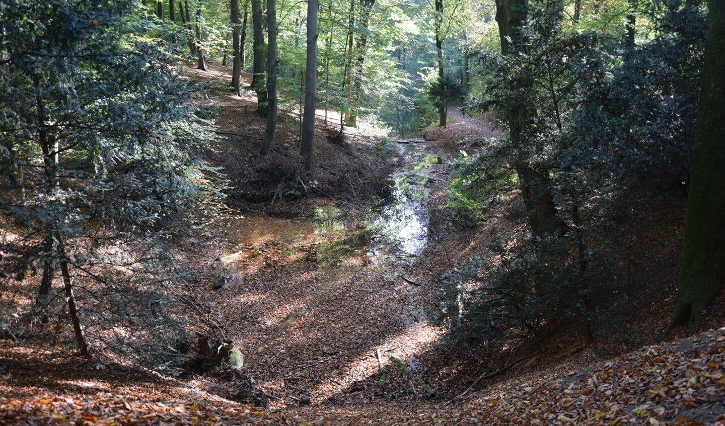 Ontdekking Hemelse berg en Pietersberg