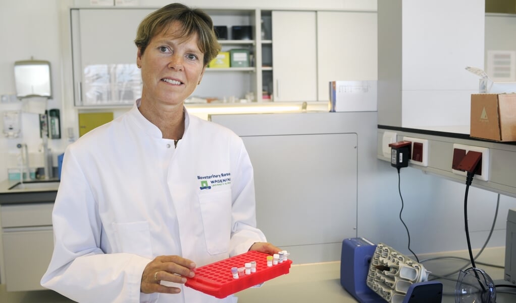 Vogelgriepexpert dr. Nancy Beerens van Wageningen Bioveterinary Research in Lelystad.