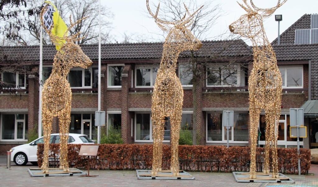  De herten staan stil en geven licht. Foto: Dick Baas winter 2021 