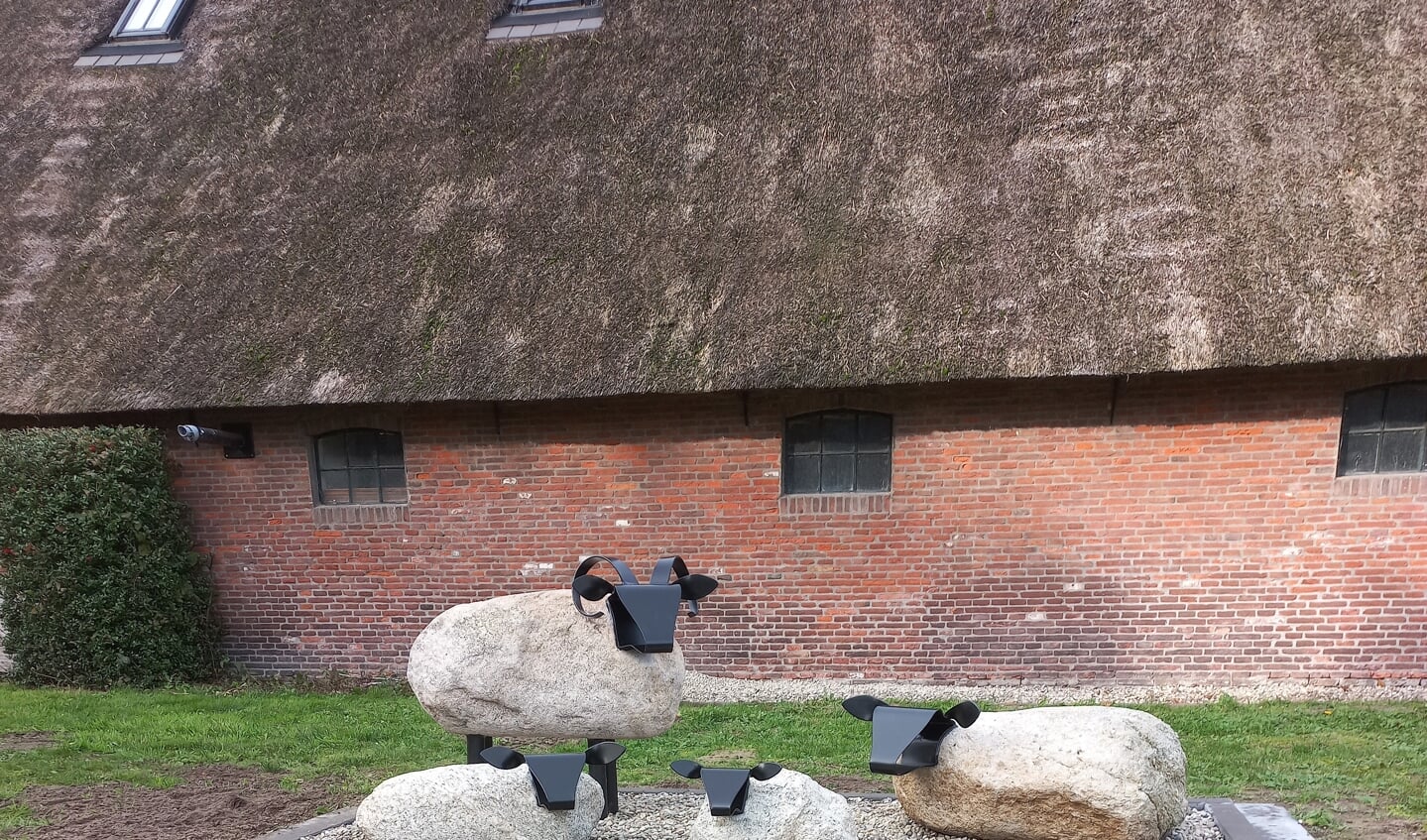 Schaapjes bij de boerderij.