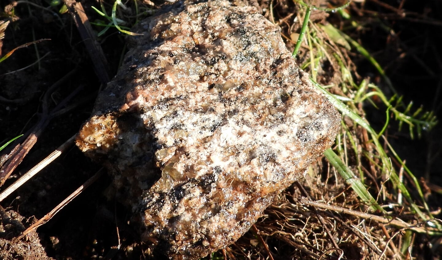 Ook graniet kun je vinden in het zandgat bij Lunteren.