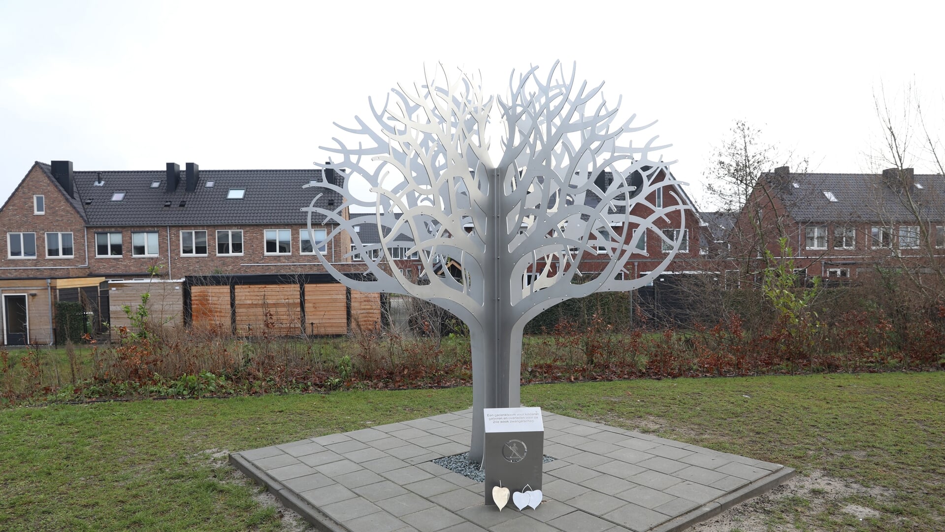 Vorig jaar werd een speciale Gedenkboom op de gemeentelijke begraafplaats in Nijkerkerveen onthuld.