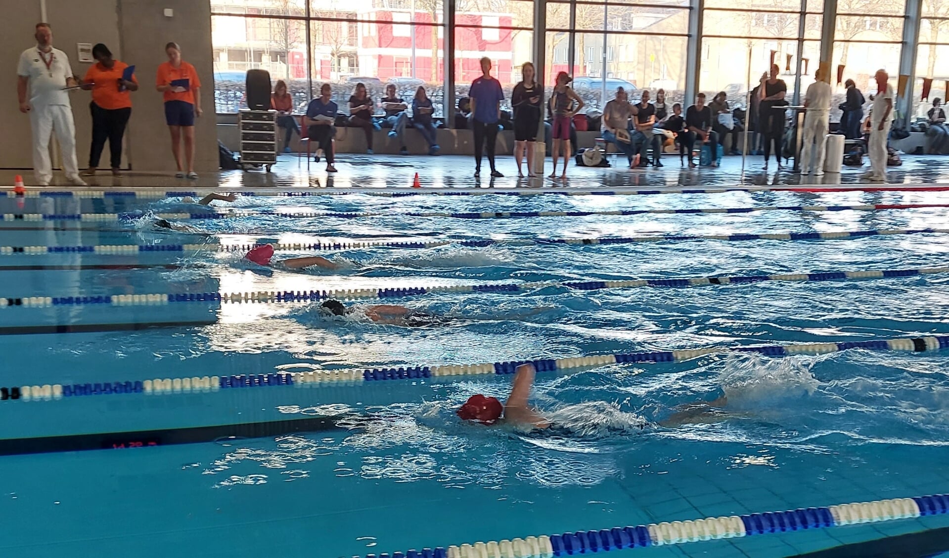 Zwemmers van DWF tijdens de 400m vrije slag