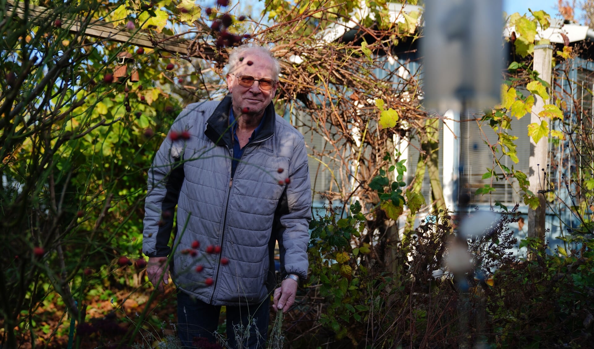 Paul Bos is algemeen bestuurslid van tuinvereniging Langs de Akker. 