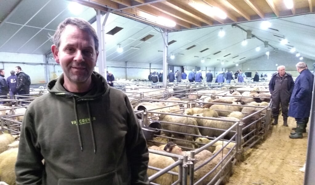 Lambert Kassing in de grote veemarktschuur vol schapen op donderdagochtend.
