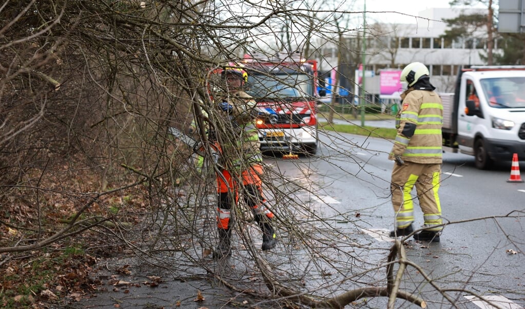 Op de Boulevard in Zeist, vlak voor het Shellstation, was donderdag een boom over de weg terecht gekomen.