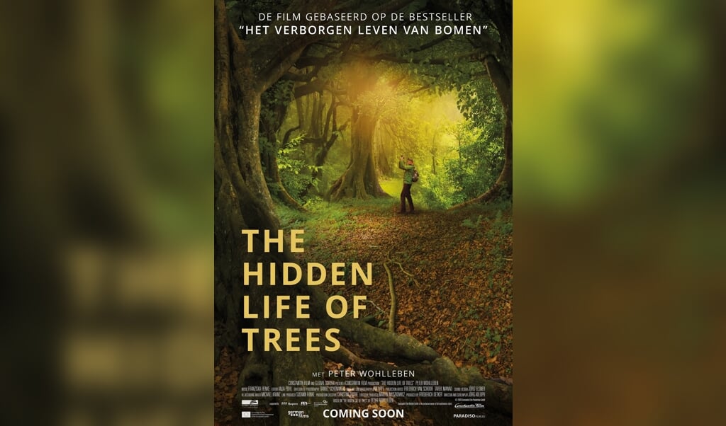 Filmposter van The Hidden Life of Trees