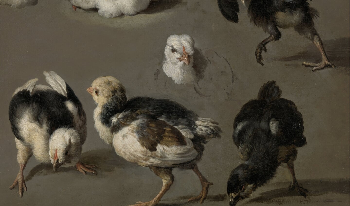 Melchior d'Hondecoeter (1636-1695), een studie in olieverf van zeven kippenkuikens, ca 1665.