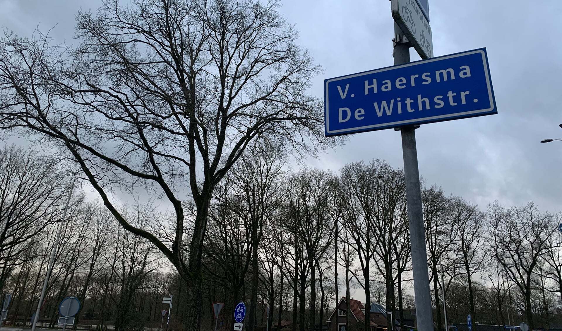 Deze week duikt 'Een straatje om...' in de historie van de Van Haersma de Withstraat.