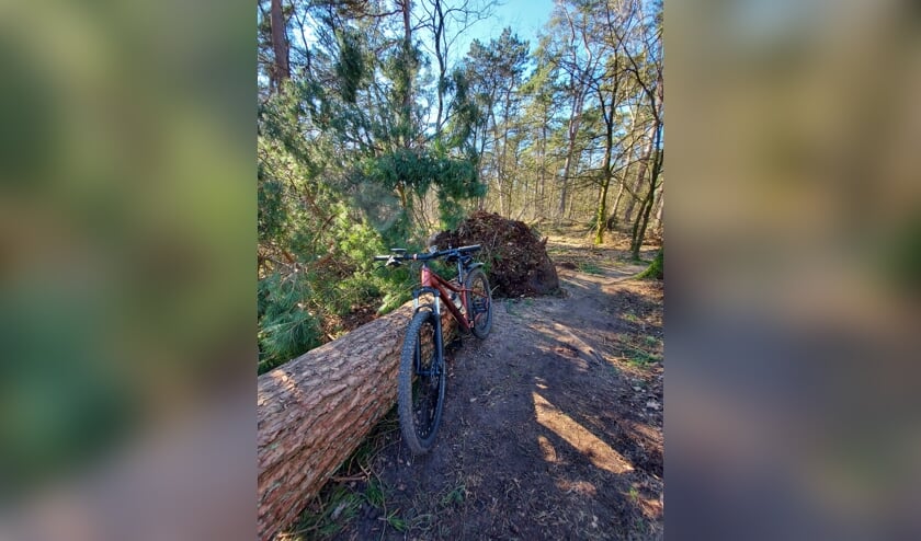 Onderscheppen kolonie wijn Omgewaaide bomen op mountainbike tracks - Al het nieuws uit Harderwijk