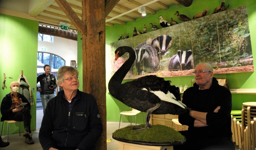 Lambert van Gils (links) en natuurfotograaf Karel Noy adoreren Zorro, de zwarte zwaan.