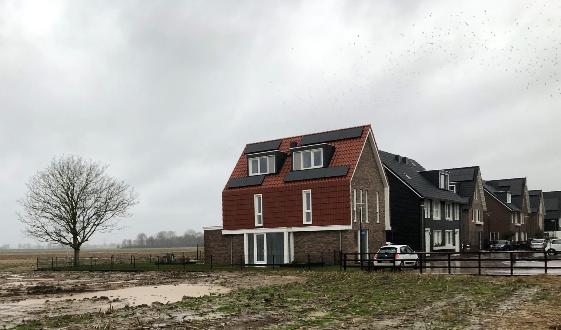 Huizen aan de Fibula in 't Burgje, met links de nieuwbouwlocatie.