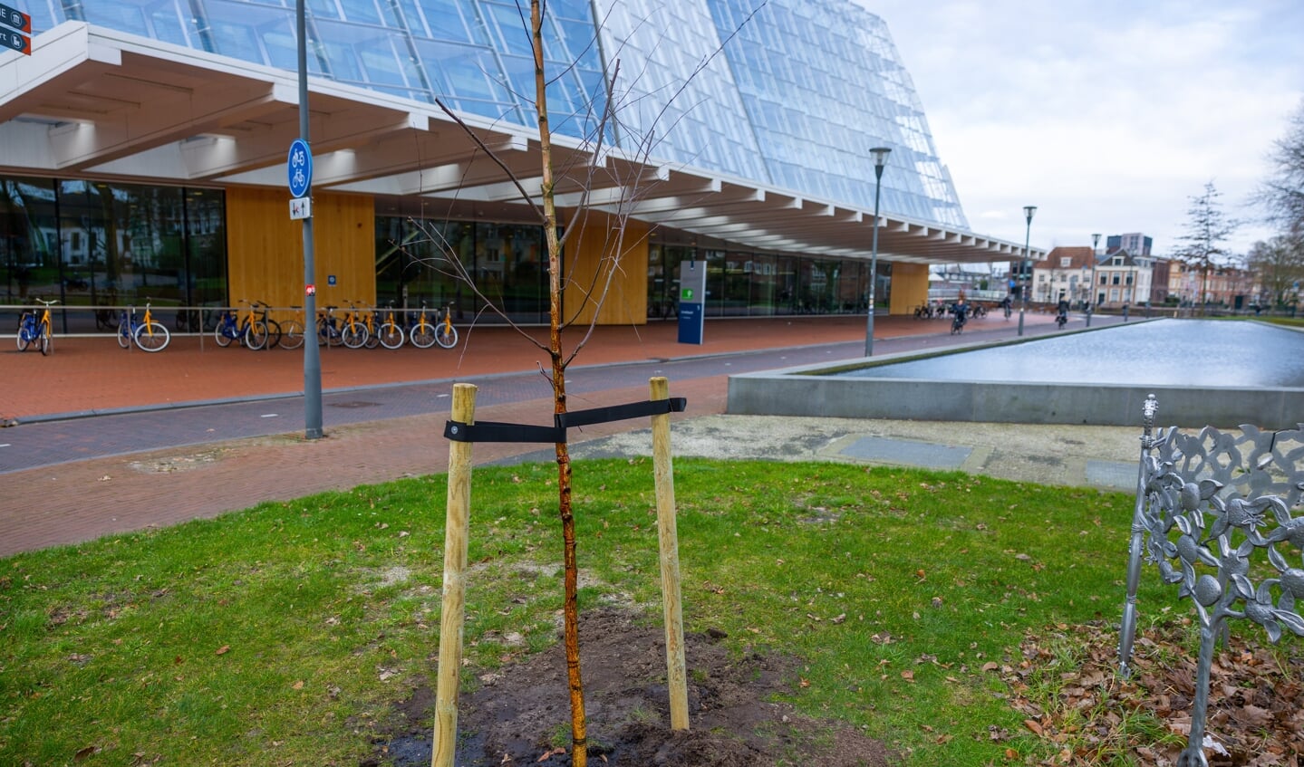 Het hoofdkantoor van Staatsbosbeheer aan het Smallepad in Amersfoort.