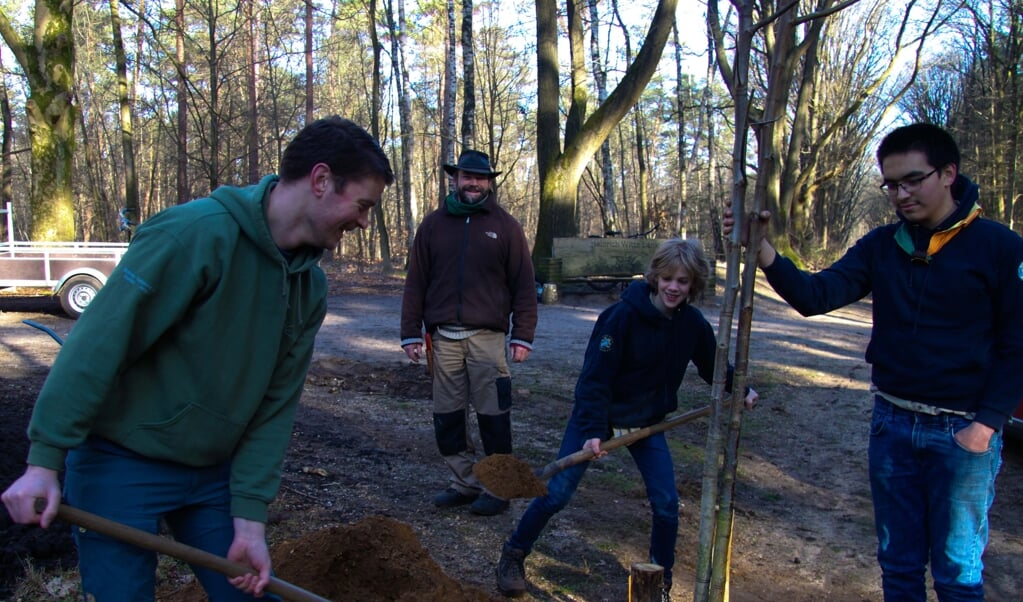 Onder leiding van Wim Appelman planten jeugdleden van Scouting Bennekom walnootbomen.