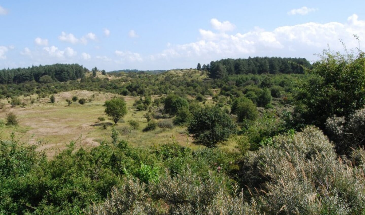 Nationaal Park Zuid-Kennemerland