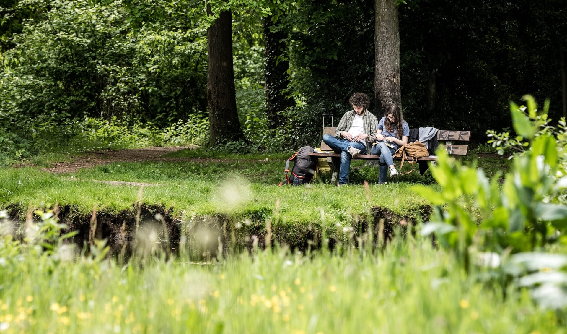 Gemeenten maken te weinig ruimte voor groen in de openbare ruimte, blijkt uit onderzoek van Natuur & Milieu. 