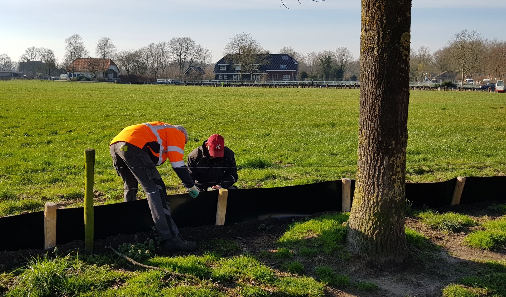 Het hele terrein van De Nieuwe Koepel krijgt een afzetting met plastic en paaltjes om de kikkers te kunnen vangen.