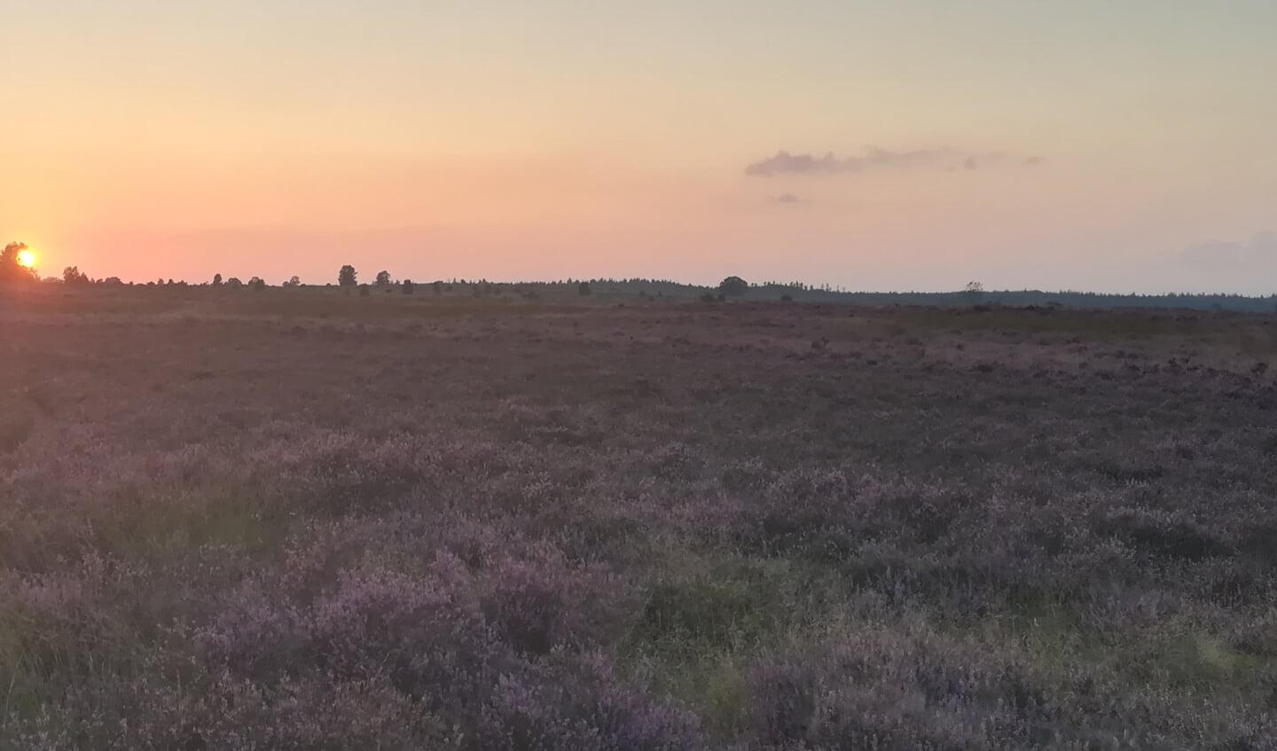 Ginkelse Heide