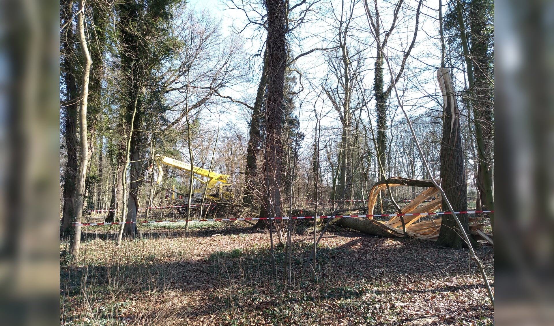 Nog altijd wordt op vele plekken hard gewerkt om de omgevallen bomen na de stormen op te ruimen, zoals hier op landgoed Rhijnauwen.