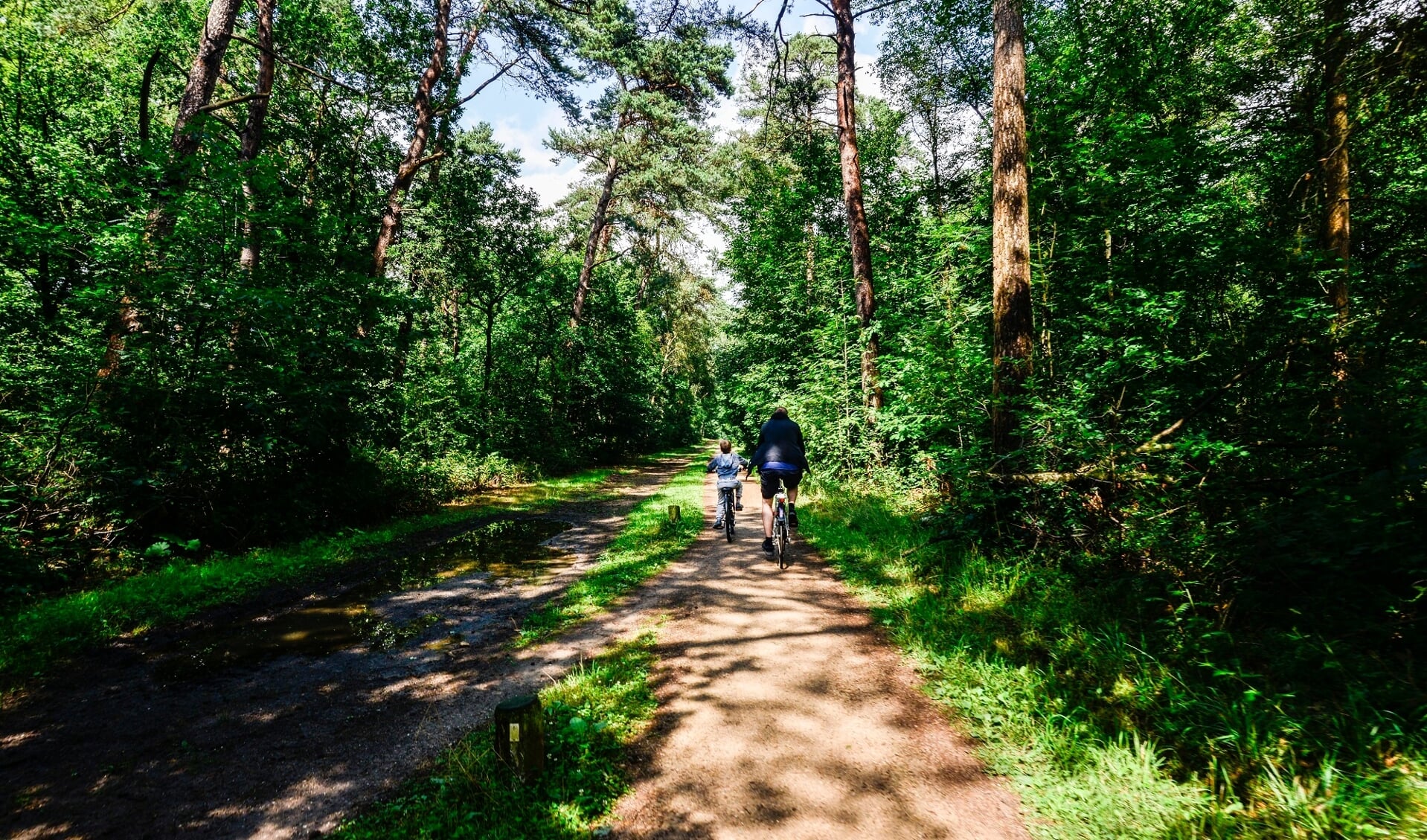 Nationaal Park Utrechtse Heuvelrug, foto ter illustratie.