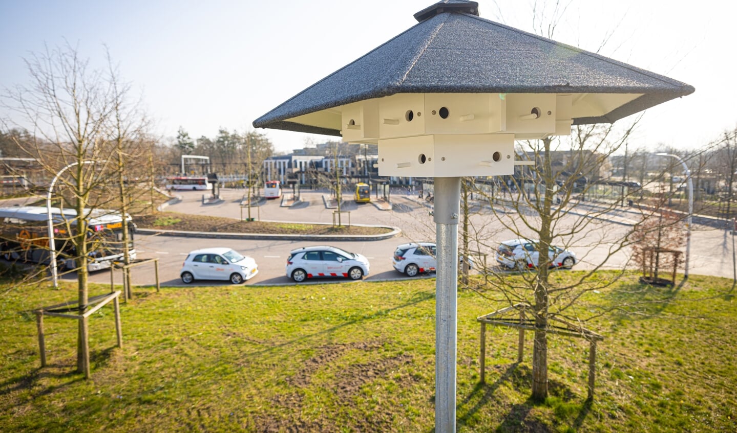 Afbeelding