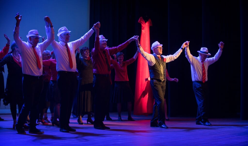 Dans in School organiseert in Houten Gouden Dans. Ontmoeting, dans en beweging voor senioren