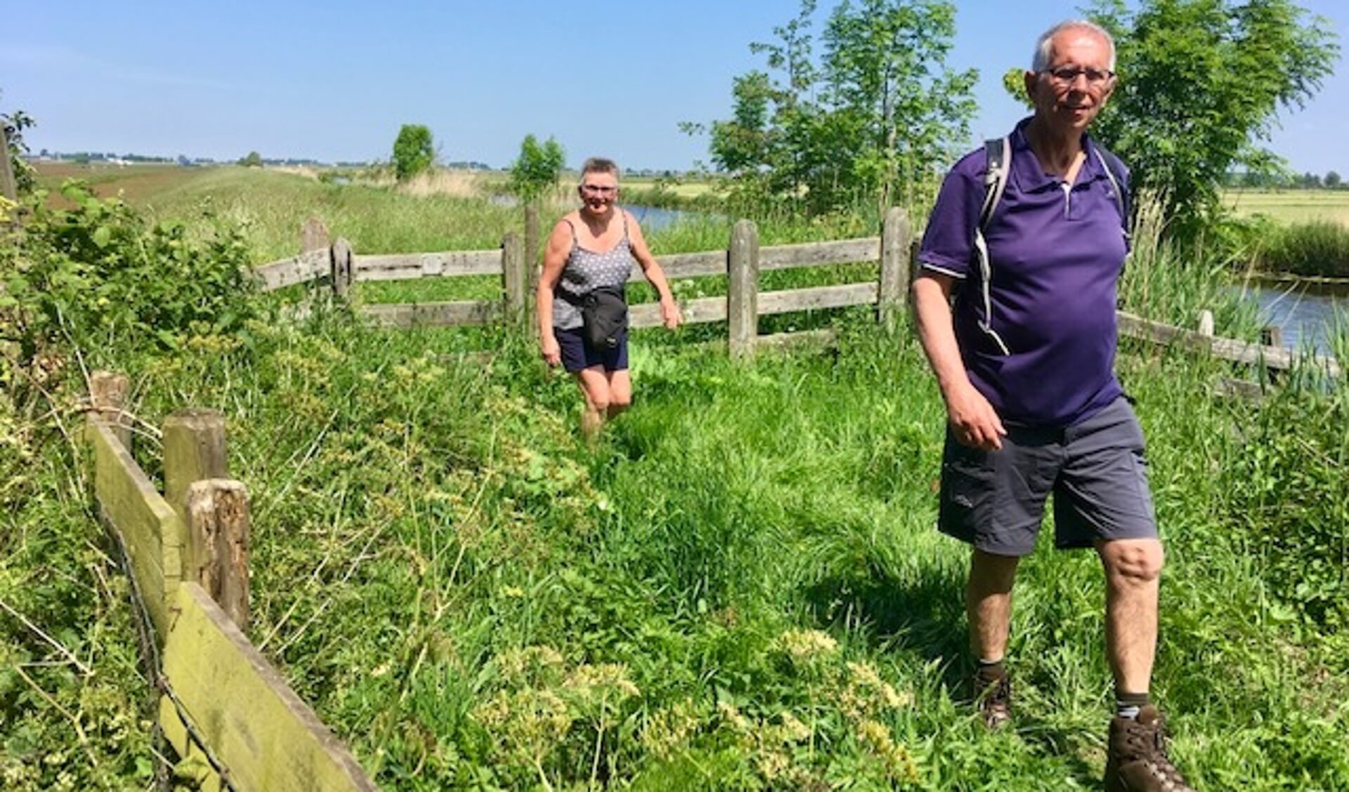 Wandelaars uit Leusden onderweg op het Romeinse Limespad.