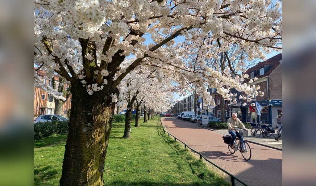 De-passie-van-Erich-Grothe--onderzoeken-en-beschrijven-van-de-flora-van-Veenendaal---Sommigen-dachten--dat-is-vast-de-dorpsgek--