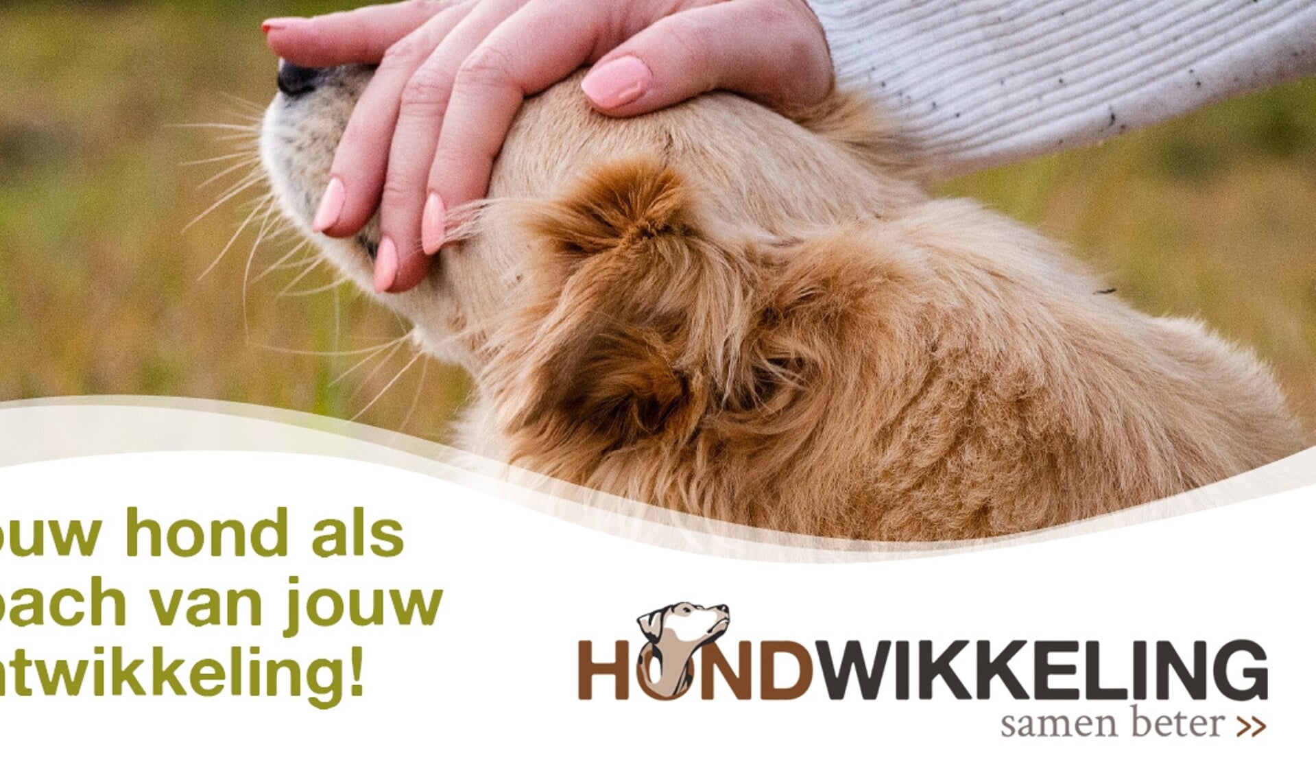 Overleg Beer Een deel Jouw hond als coach van jouw eigen ontwikkeling! - StadNijkerk.nl Nieuws  uit de regio Nijkerk